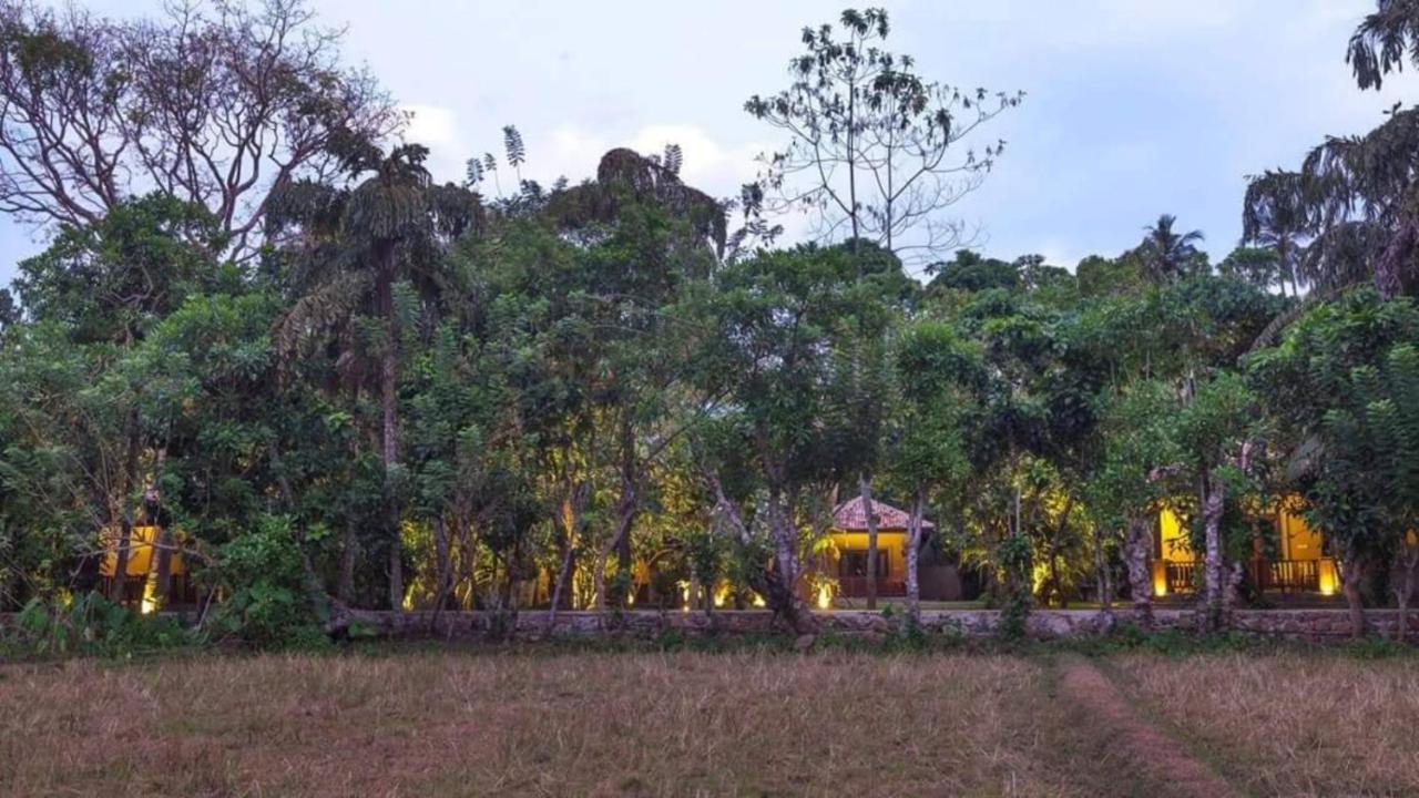 Birds Paradise Cabanas Unawatuna Esterno foto