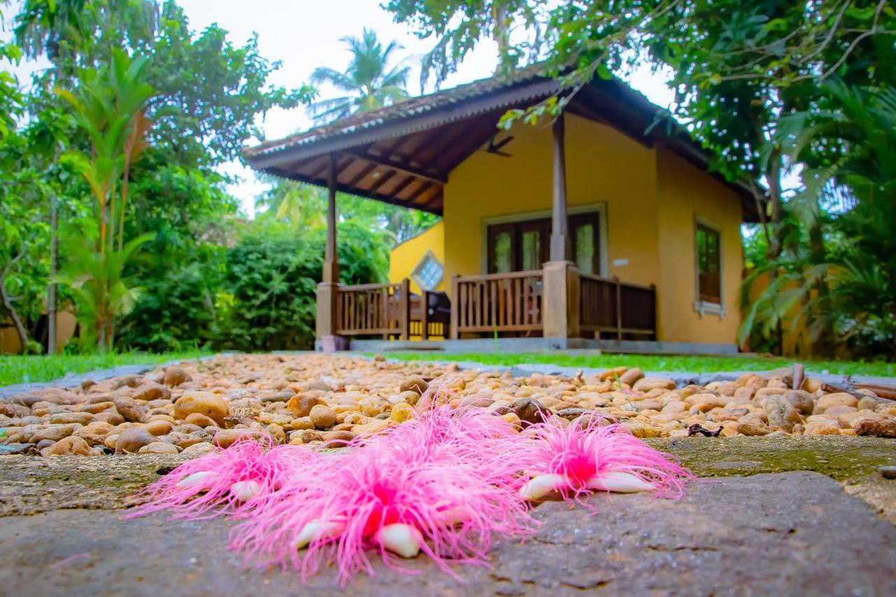 Birds Paradise Cabanas Unawatuna Esterno foto