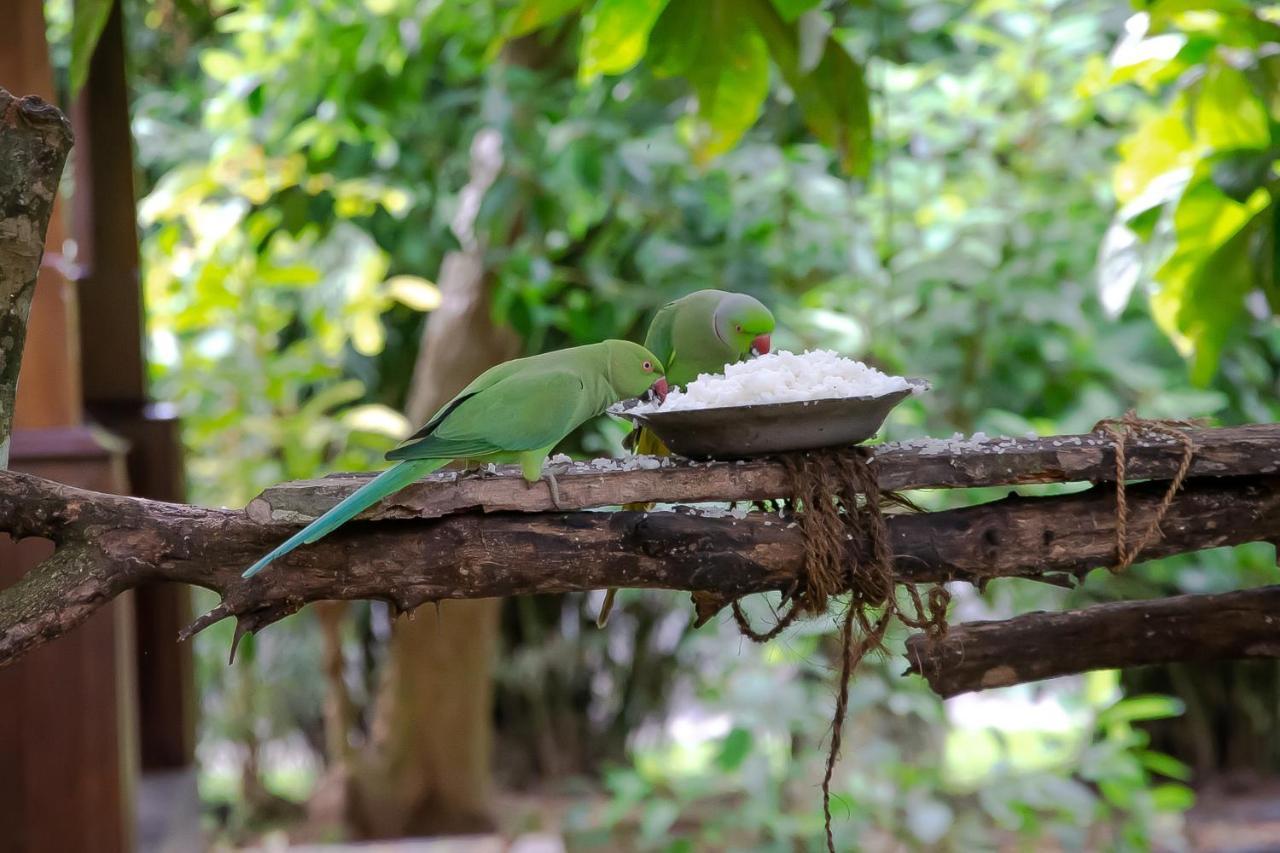 Birds Paradise Cabanas Unawatuna Esterno foto
