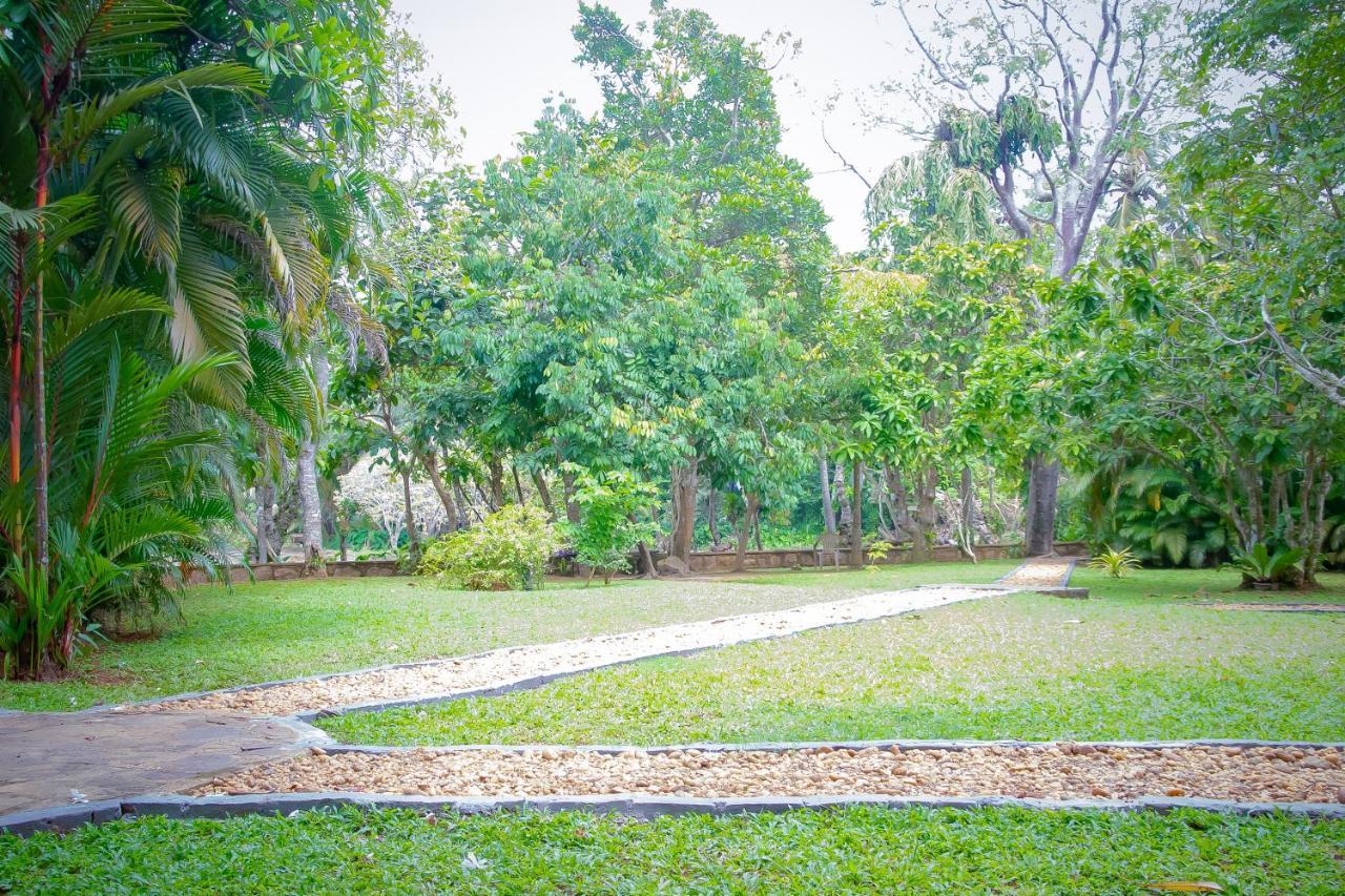 Birds Paradise Cabanas Unawatuna Esterno foto