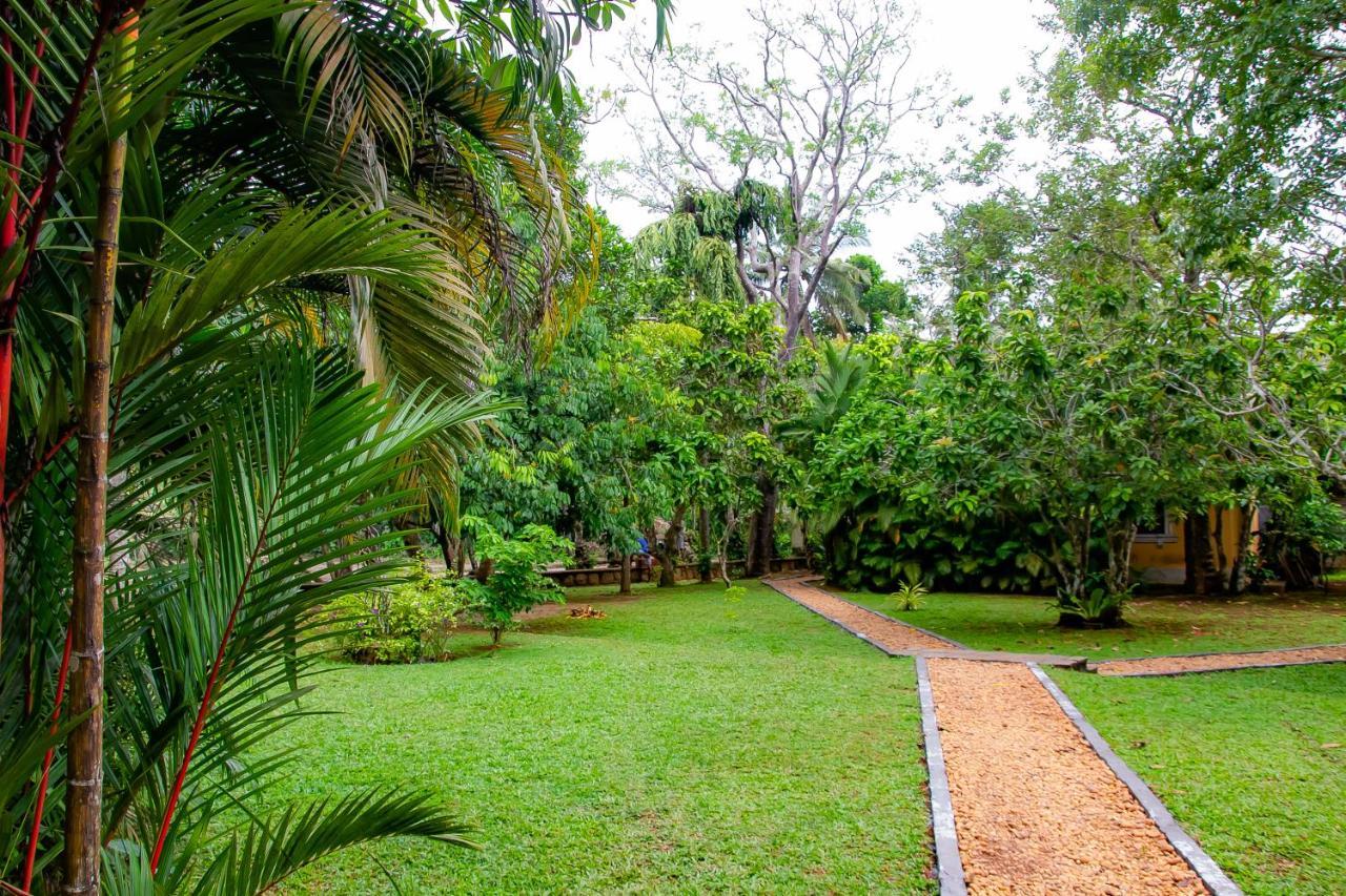 Birds Paradise Cabanas Unawatuna Esterno foto