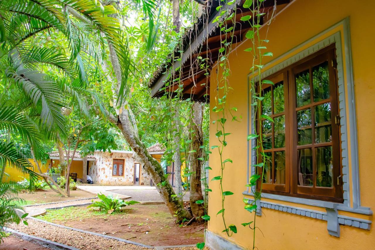 Birds Paradise Cabanas Unawatuna Esterno foto